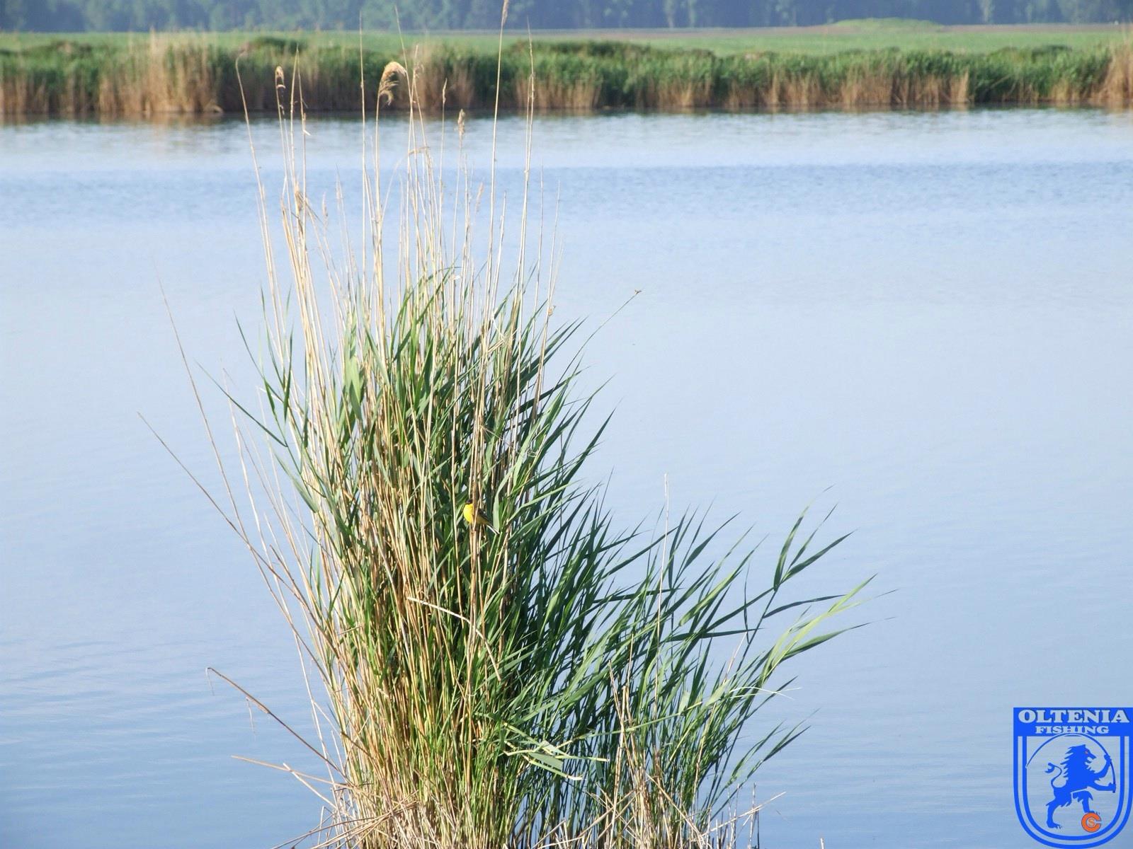 2013 - 2 - image11111111111111111111.jpg